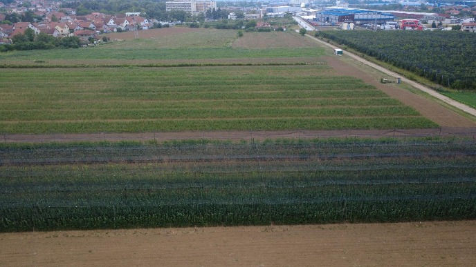 Vlada donela strategiju agrara